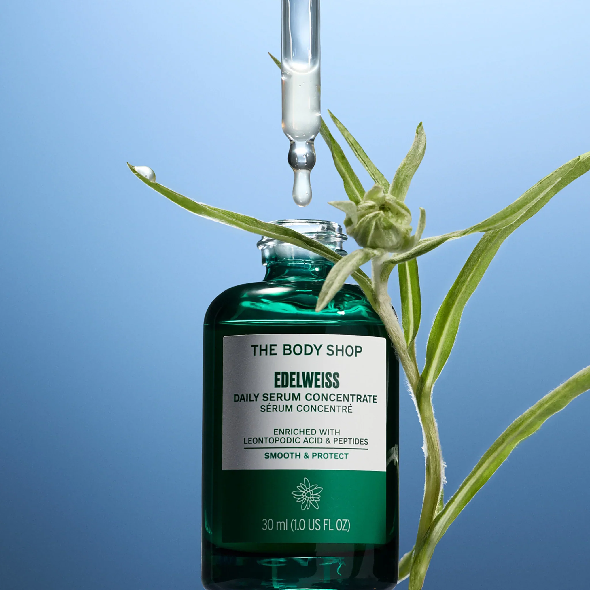 Edelweiss Daily Serum Concentrate - Image 6
