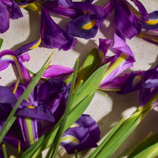 Full Iris Eau de Parfum - Image 3