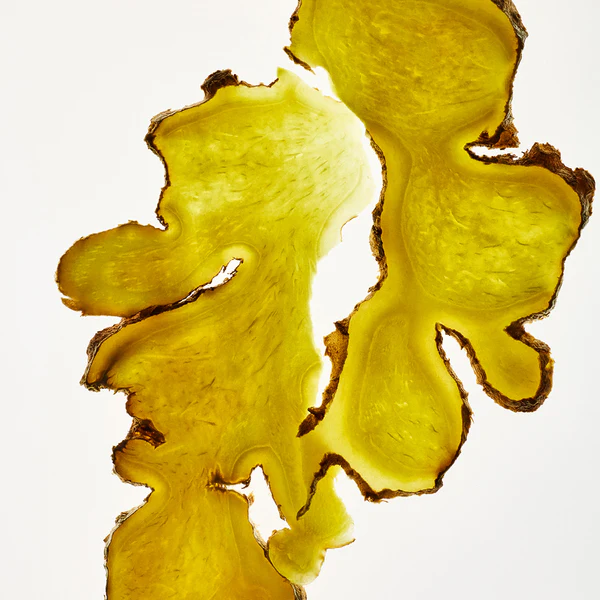 Ginger Scalp Care Conditioner - Image 5