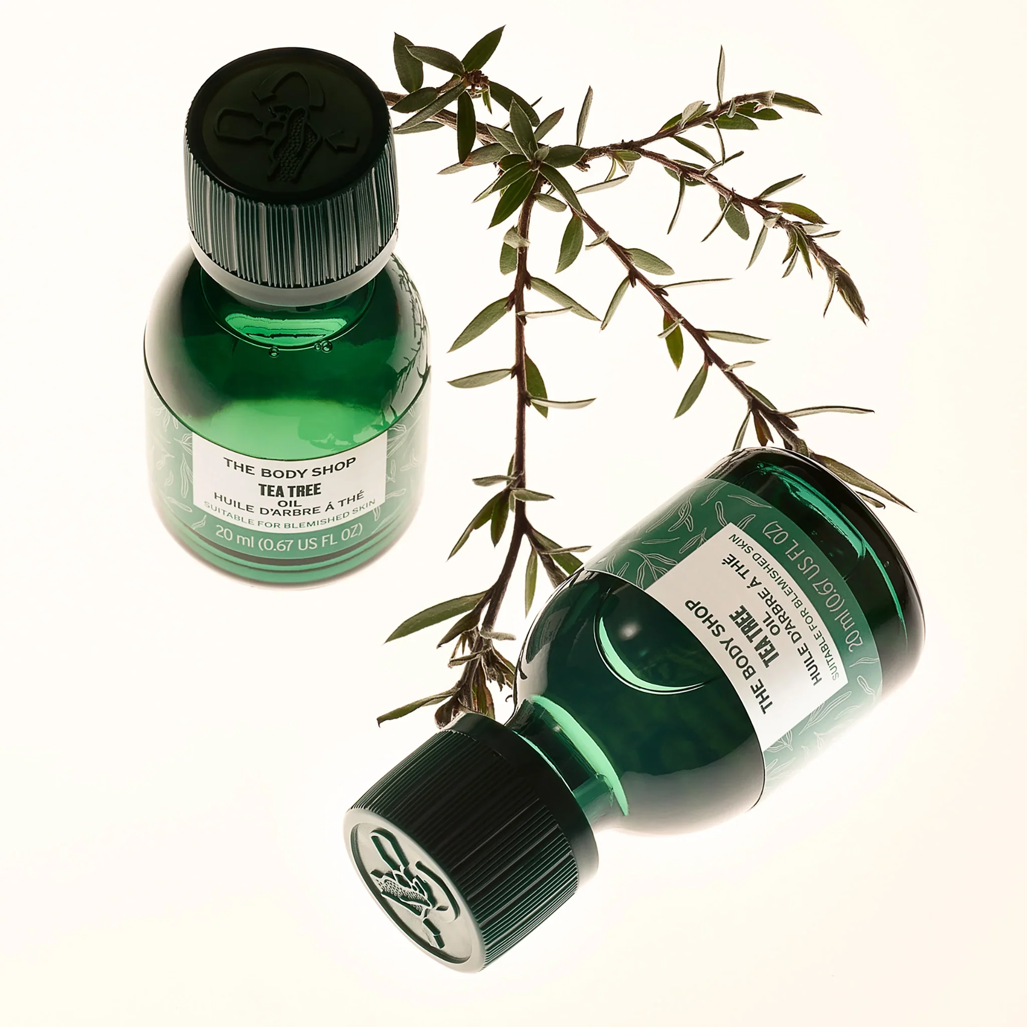 Tea Tree Oil 10ml - Image 5